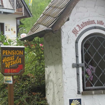 Pension Haus Ursula Coblenza Exterior foto