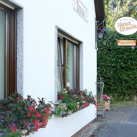 Pension Haus Ursula Coblenza Exterior foto