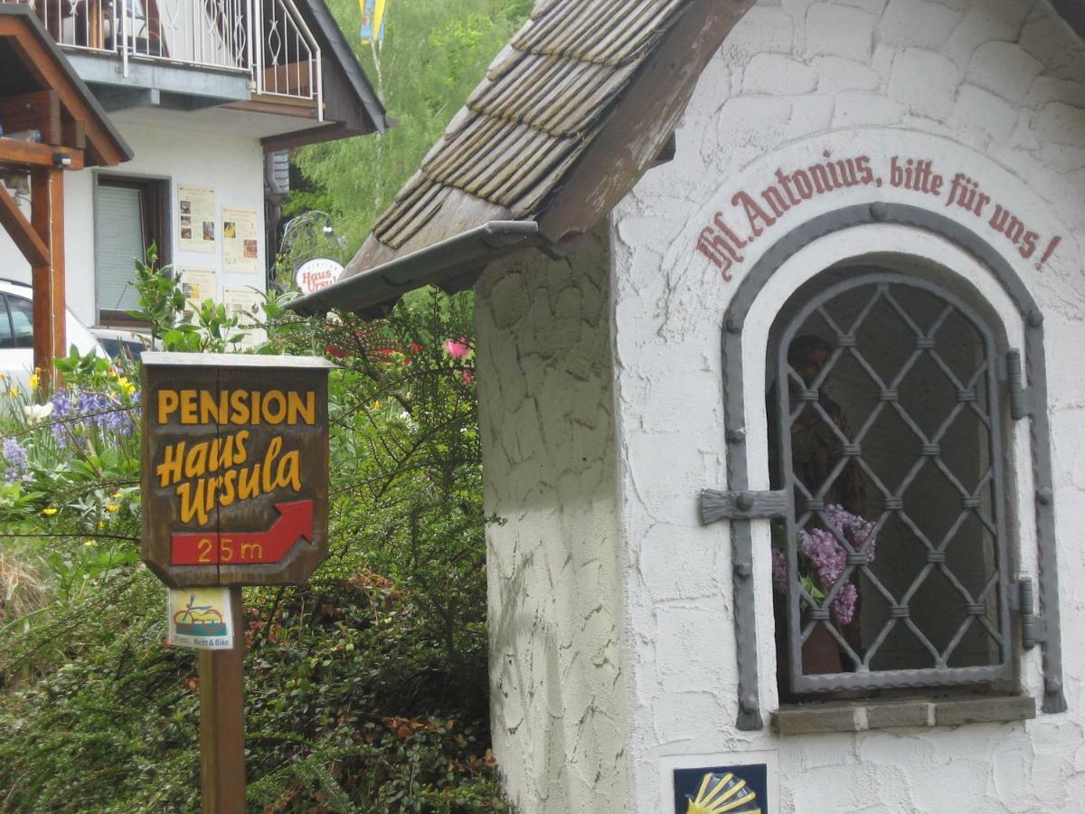 Pension Haus Ursula Coblenza Exterior foto