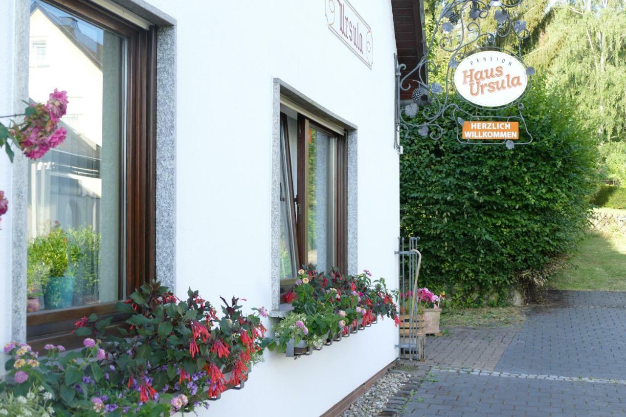 Pension Haus Ursula Coblenza Exterior foto